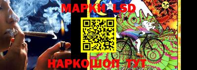 скорость Дубна