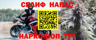 дмт Донской