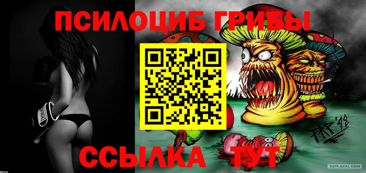 Псилоцибиновые грибы MAGIC MUSHROOMS  Галлюциногенные грибы Cubensis  Вход с VPN  Минусинск 